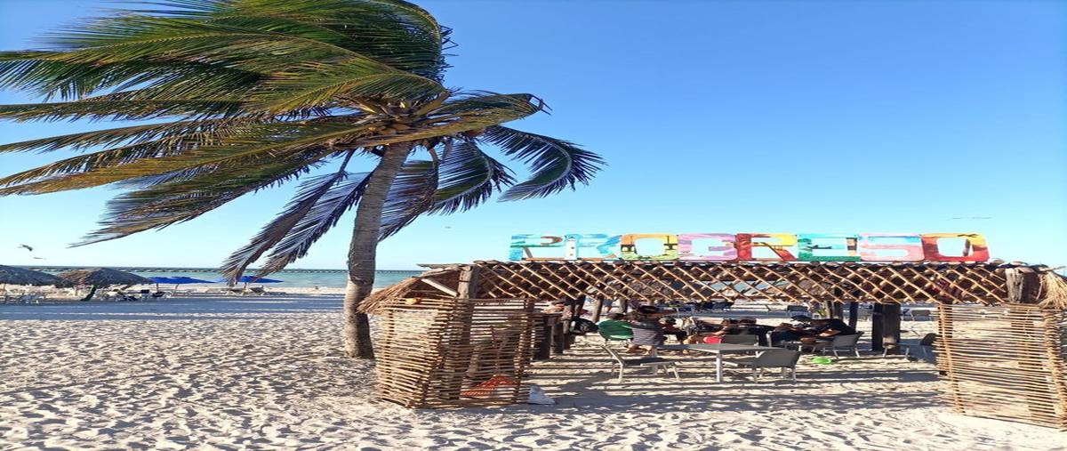 Foto de terreno habitacional en venta en  , misnebalam, progreso, yucatán, 24056901 No. 04