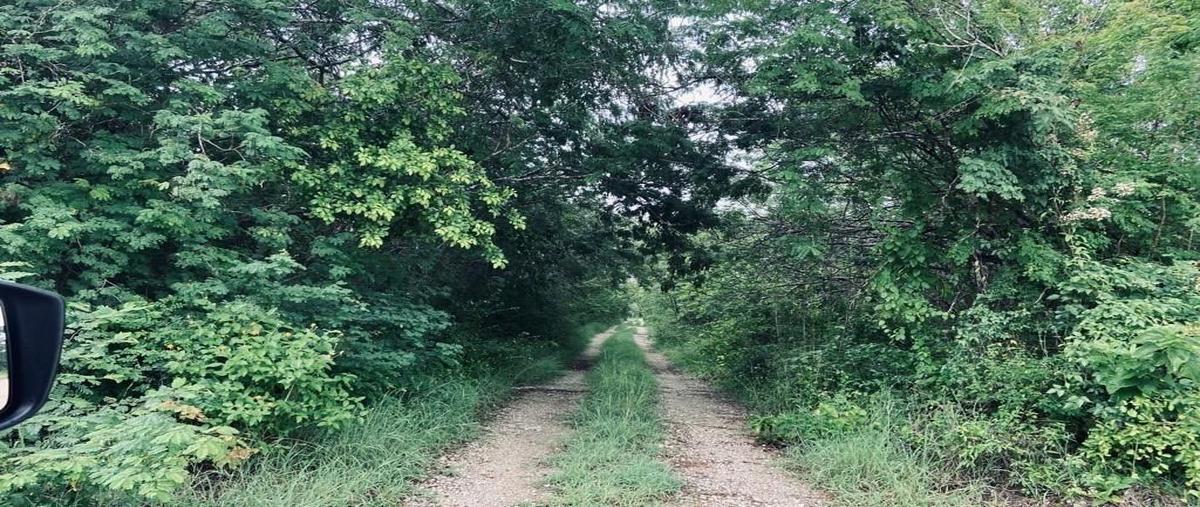 Foto de terreno habitacional en , misnebalam, progreso, yucatán, 26434351 foto 01 Foto de terreno habitacional en venta en , misnebalam, progreso, yucatán, 26434351 No. 01