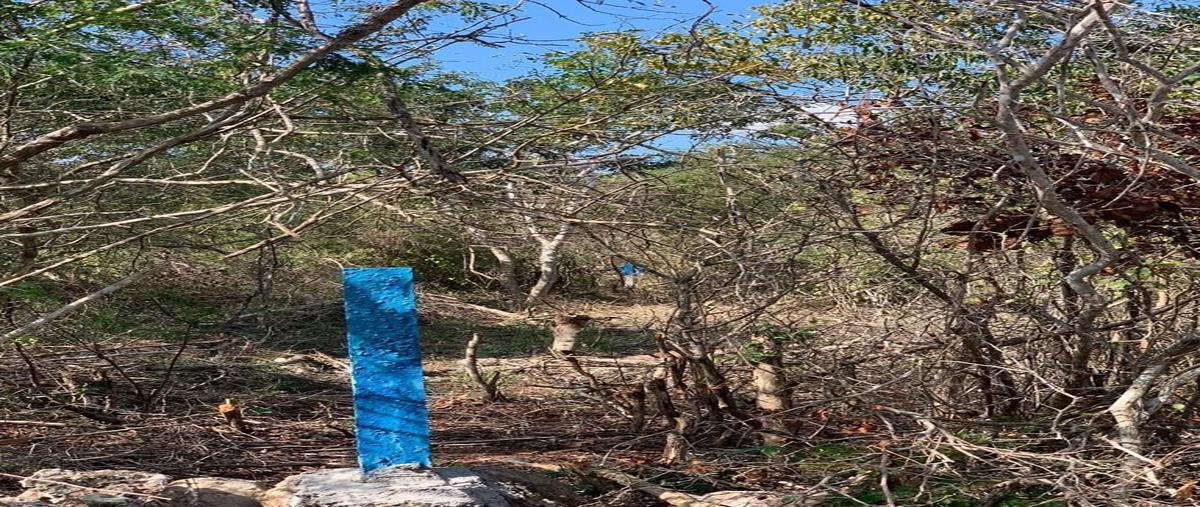 Foto de terreno habitacional en venta en  , misnebalam, progreso, yucatán, 26622675 No. 03