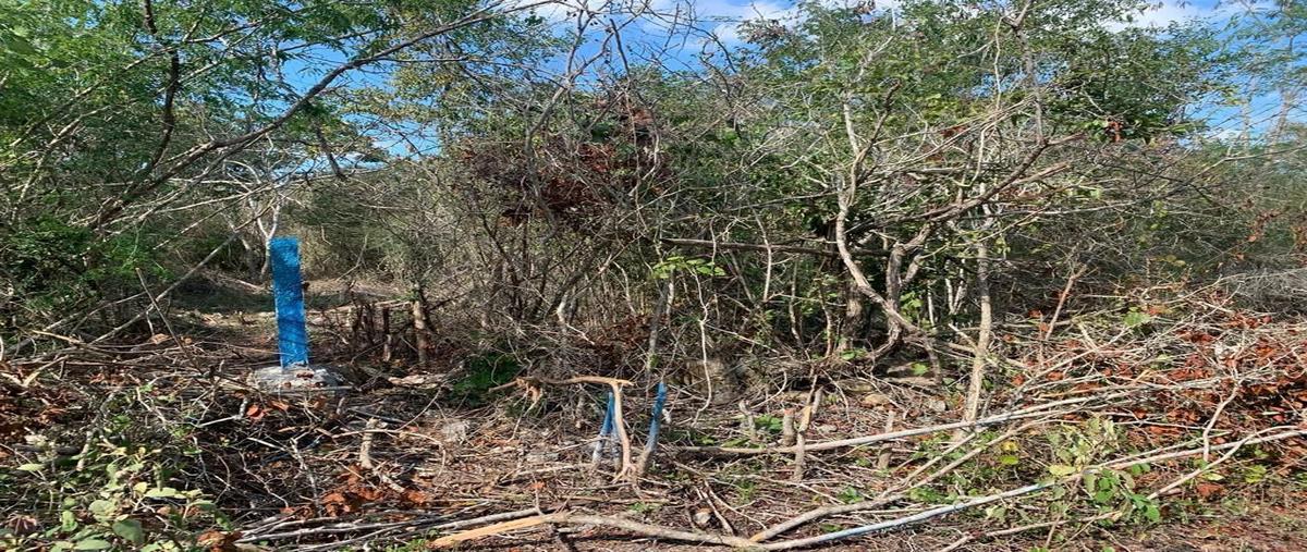 Foto de terreno habitacional en venta en  , misnebalam, progreso, yucatán, 26622675 No. 04