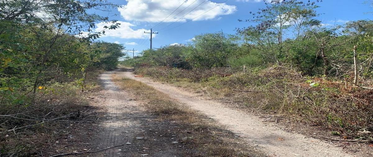 Foto de terreno habitacional en venta en  , misnebalam, progreso, yucatán, 26622675 No. 05