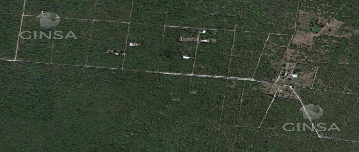 Foto de terreno habitacional en , misnebalam, progreso, yucatán, 26943681 foto 04 Foto de terreno habitacional en venta en , misnebalam, progreso, yucatán, 26943681 No. 04