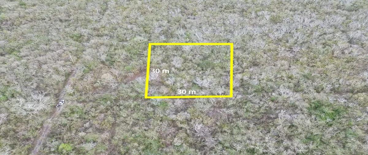 Foto de terreno habitacional en venta en  , misnebalam, progreso, yucatán, 29394690 No. 03