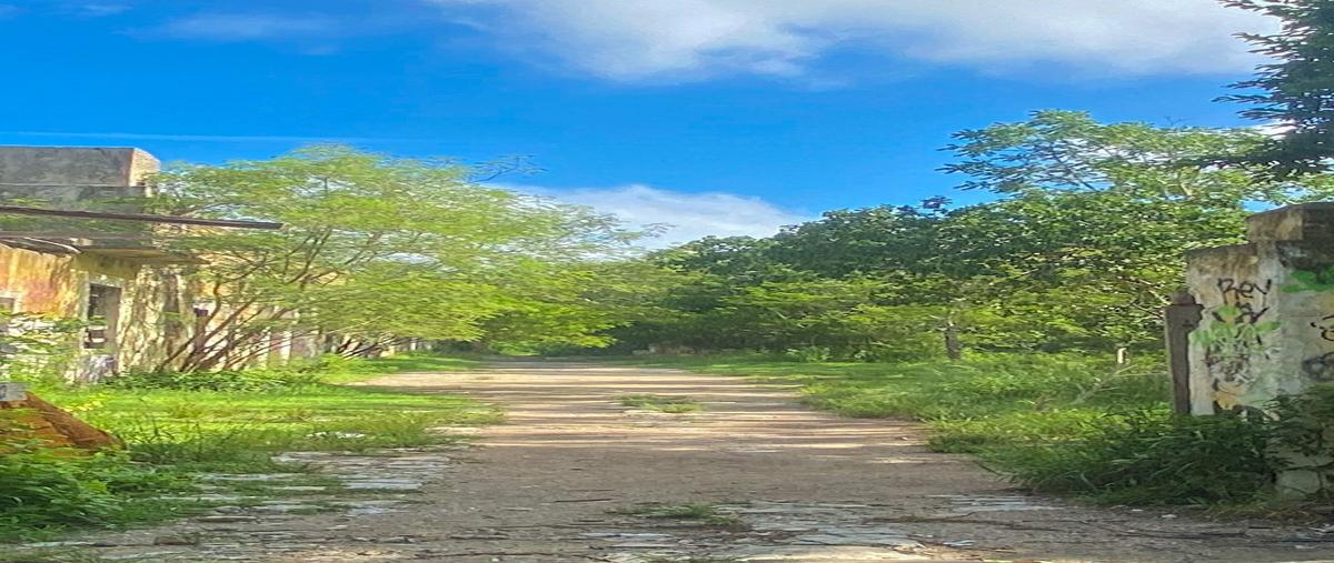 Foto de terreno habitacional en venta en  , misnebalam, progreso, yucatán, 0 No. 03