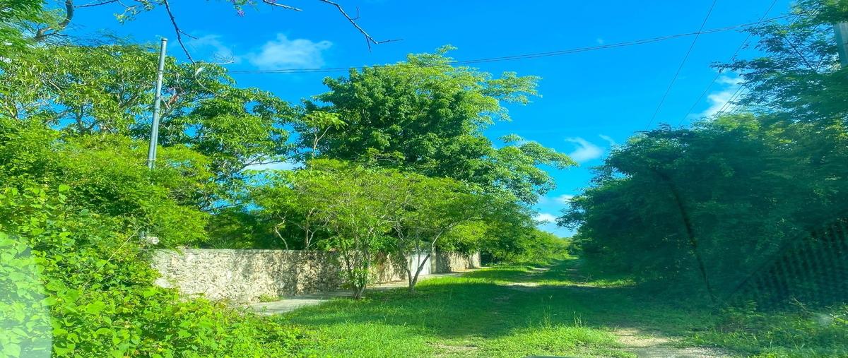 Foto de terreno habitacional en venta en  , misnebalam, progreso, yucatán, 30195227 No. 04