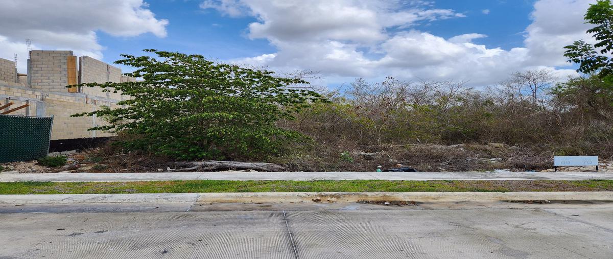 Foto de terreno habitacional en místika , chablekal, mérida, yucatán, 29473370 foto 01 Foto de terreno habitacional en venta en místika , chablekal, mérida, yucatán, 29473370 No. 01
