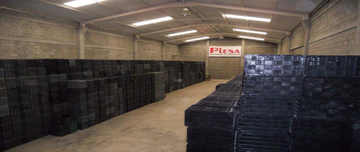 Foto de bodega en renta en  , mitras poniente, garcía, nuevo león, 0 No. 04