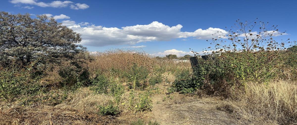 Foto de rancho en venta en mixquicuac , san gregorio atlapulco, xochimilco, df / cdmx, 0 No. 01
