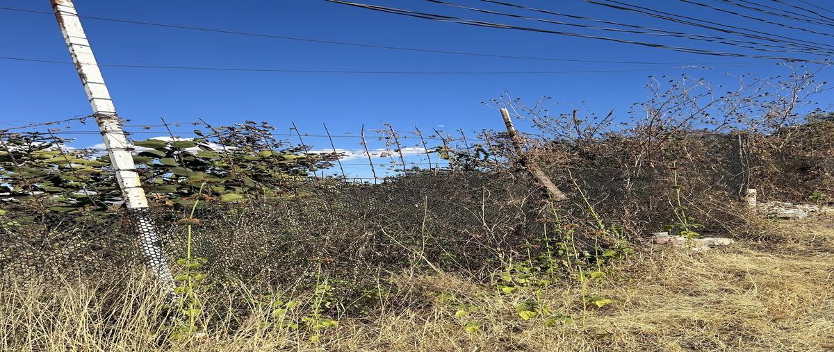 Foto de rancho en venta en mixquicuac , san gregorio atlapulco, xochimilco, df / cdmx, 0 No. 03