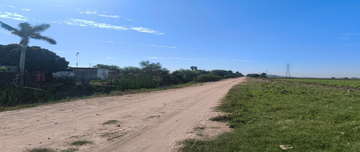 Foto de terreno habitacional en venta en  , mochicahui, el fuerte, sinaloa, 30866831 No. 03