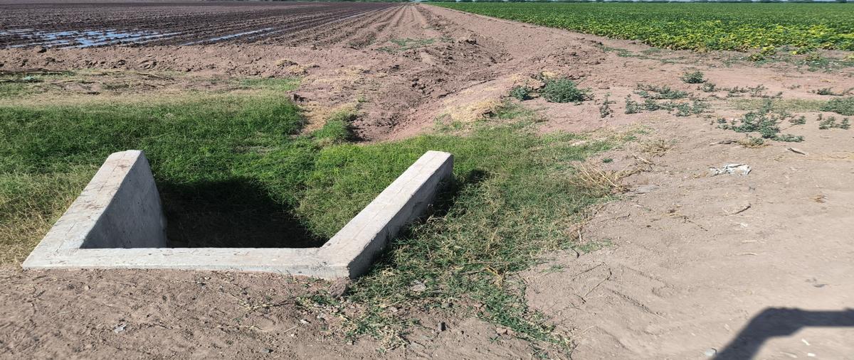 Foto de terreno habitacional en venta en  , mochicahui, el fuerte, sinaloa, 30866831 No. 04
