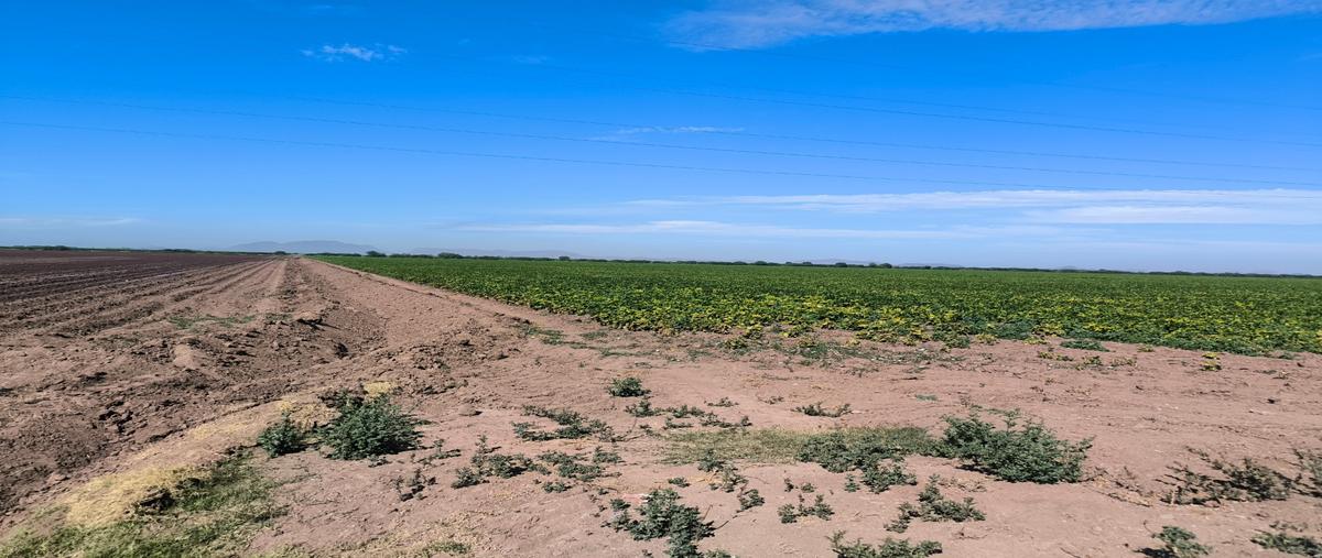 Foto de terreno habitacional en venta en  , mochicahui, el fuerte, sinaloa, 30866831 No. 05