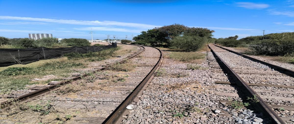 Foto de terreno habitacional en venta en  , mochicahui, el fuerte, sinaloa, 30866832 No. 03