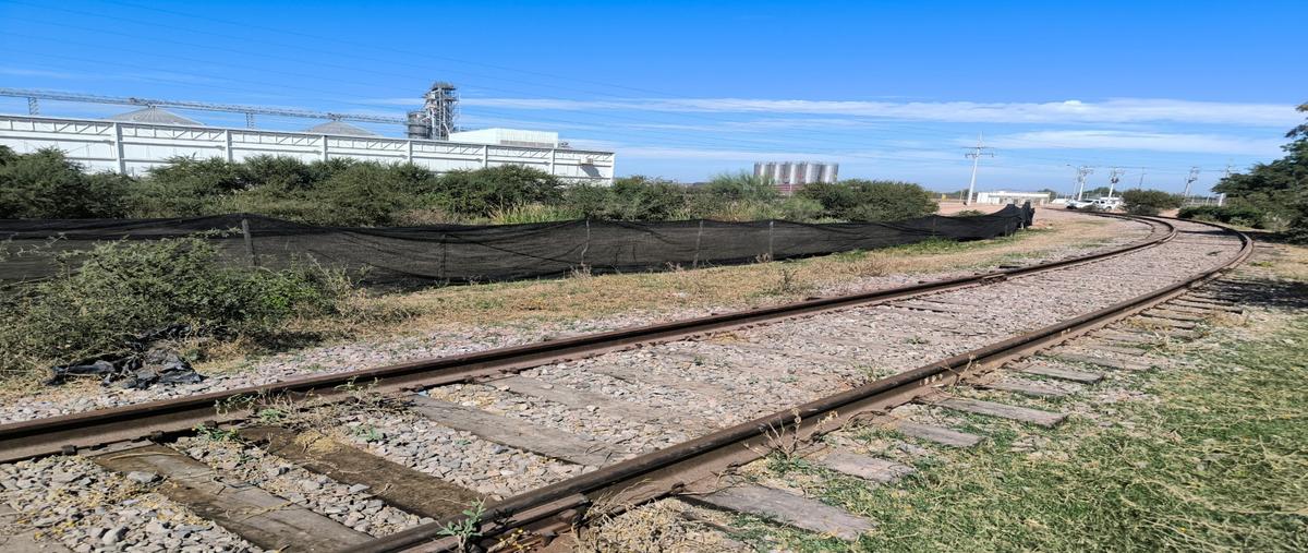 Foto de terreno habitacional en venta en  , mochicahui, el fuerte, sinaloa, 30866832 No. 05