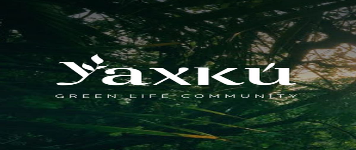 Foto de terreno habitacional en , mococha, mocochá, yucatán, 27315711 foto 01 Foto de terreno habitacional en venta en , mococha, mocochá, yucatán, 27315711 No. 01