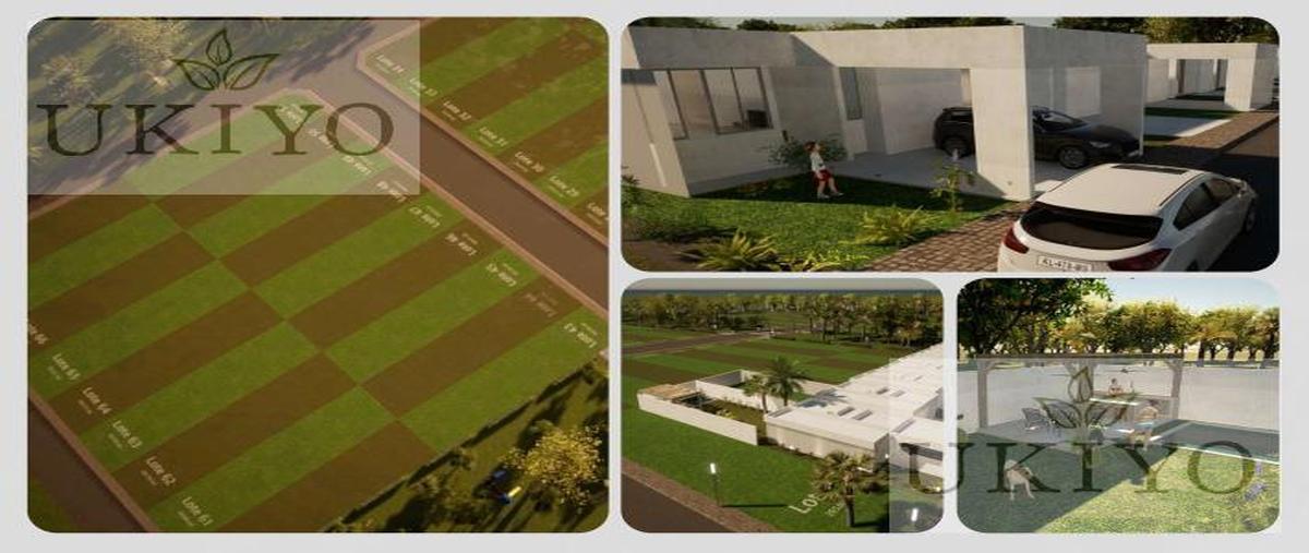 Foto de terreno habitacional en venta en  , mococha, mocochá, yucatán, 28394955 No. 05