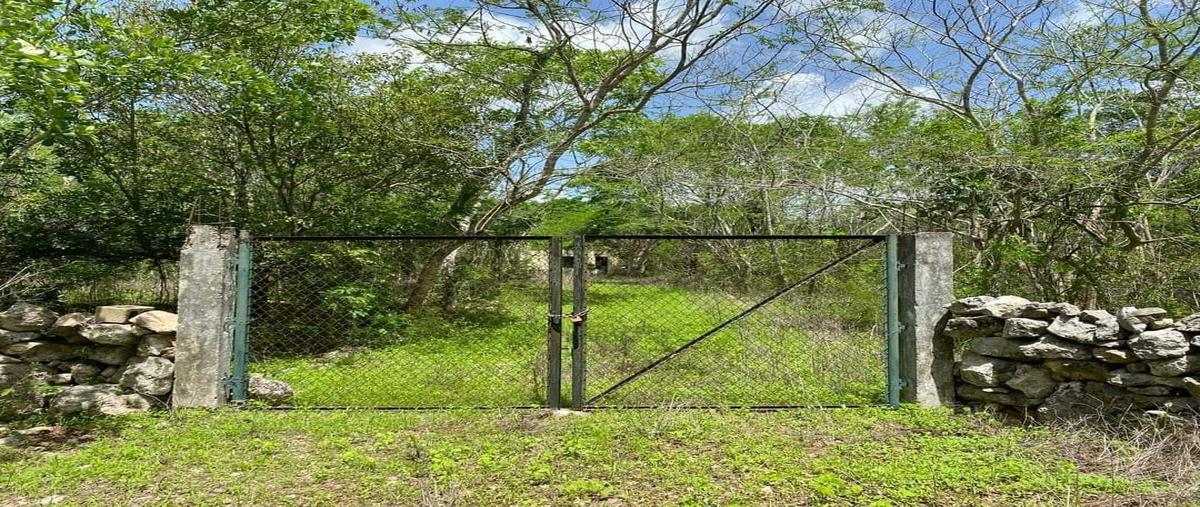 Foto de terreno habitacional en , mococha, mocochá, yucatán, 28879963 foto 02 Foto de terreno habitacional en venta en , mococha, mocochá, yucatán, 28879963 No. 02