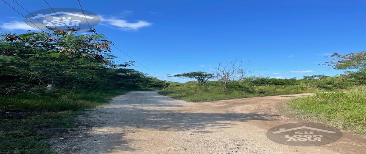 Foto de terreno habitacional en venta en  , mococha, mocochá, yucatán, 29336137 No. 05