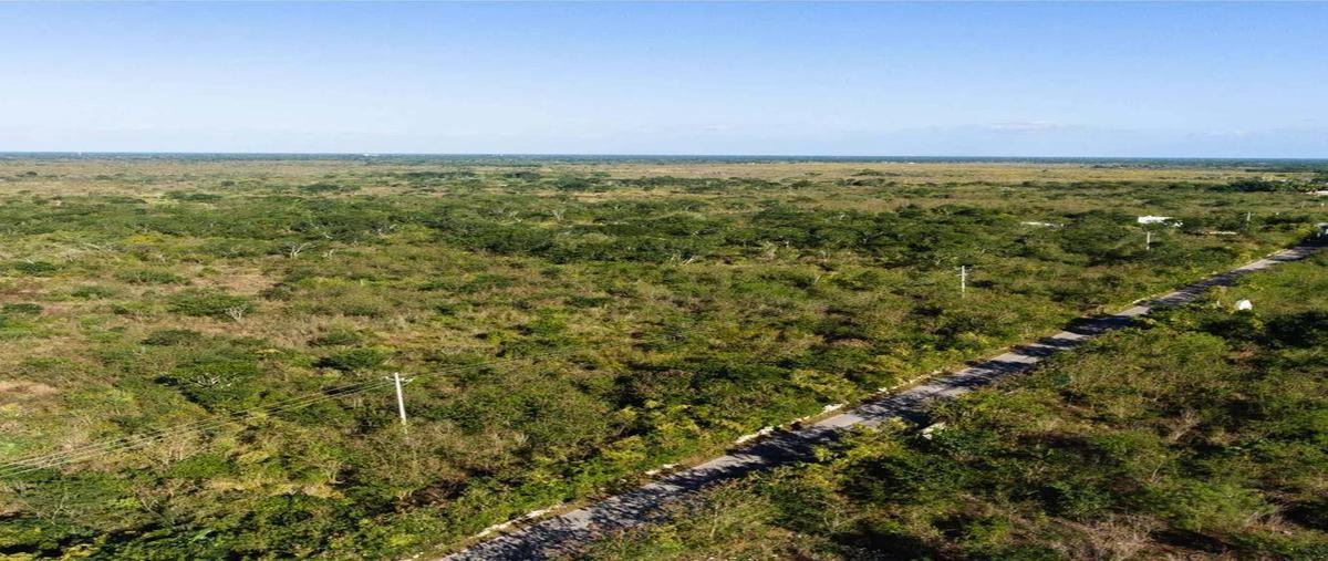 Foto de terreno habitacional en venta en  , mococha, mocochá, yucatán, 0 No. 04