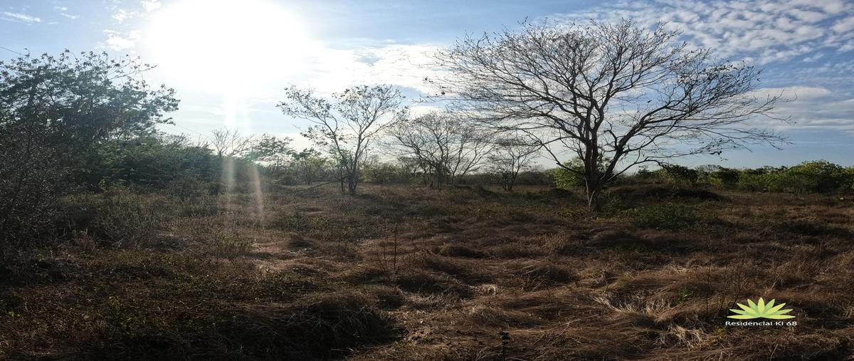 Foto de terreno habitacional en , mococha, mocochá, yucatán, 31426904 foto 02 Foto de terreno habitacional en venta en , mococha, mocochá, yucatán, 31426904 No. 02
