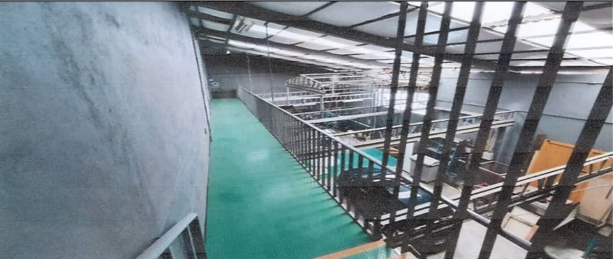 Foto de bodega en venta en  , moctezuma 1a sección, venustiano carranza, df / cdmx, 0 No. 05