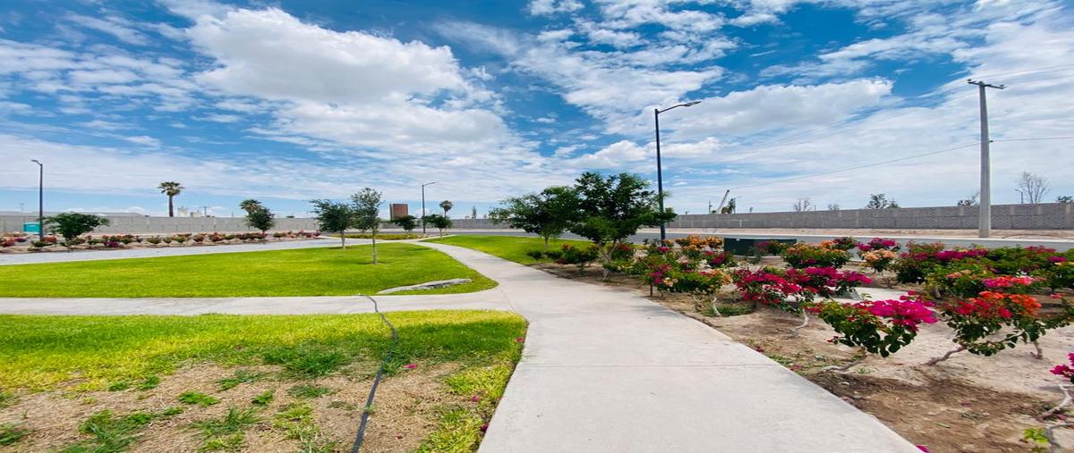 Foto de casa en venta en "modelo elba" campoterra , la barranca, torreón, coahuila de zaragoza, 27113535 No. 04
