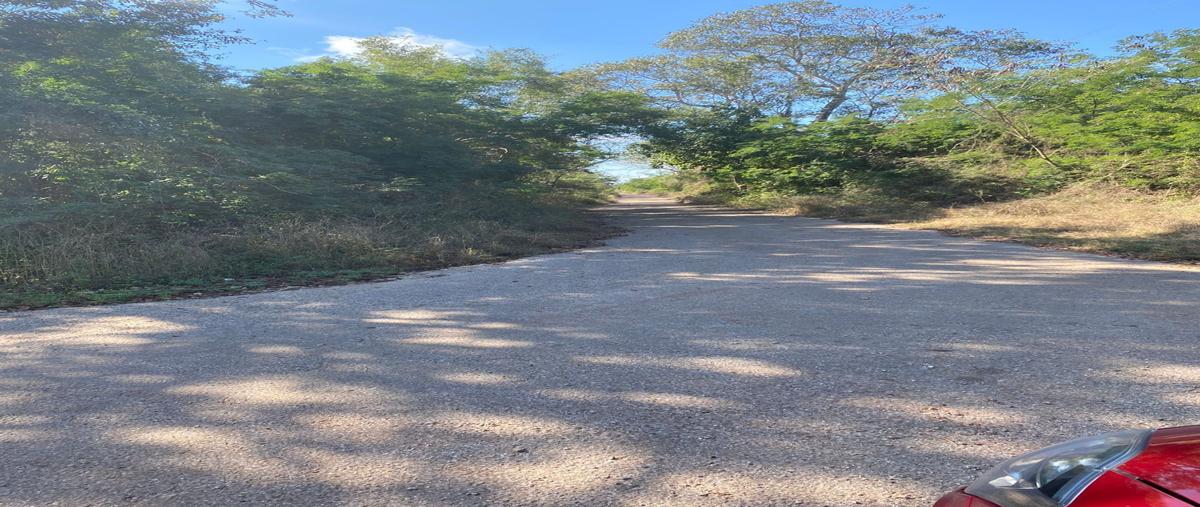 Foto de terreno habitacional en renta en  , molas, mérida, yucatán, 29233424 No. 03