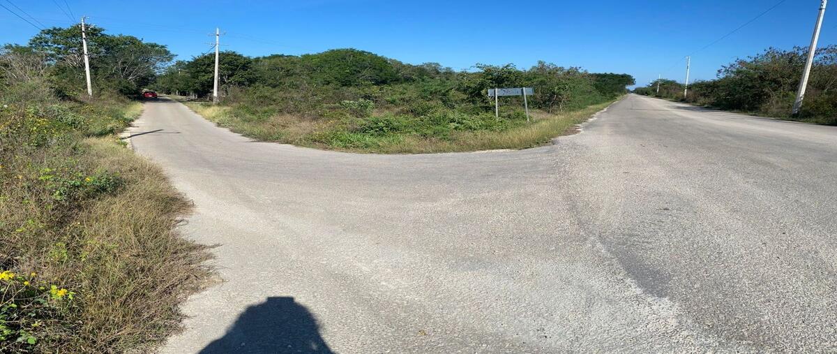 Foto de terreno habitacional en renta en  , molas, mérida, yucatán, 29233424 No. 04