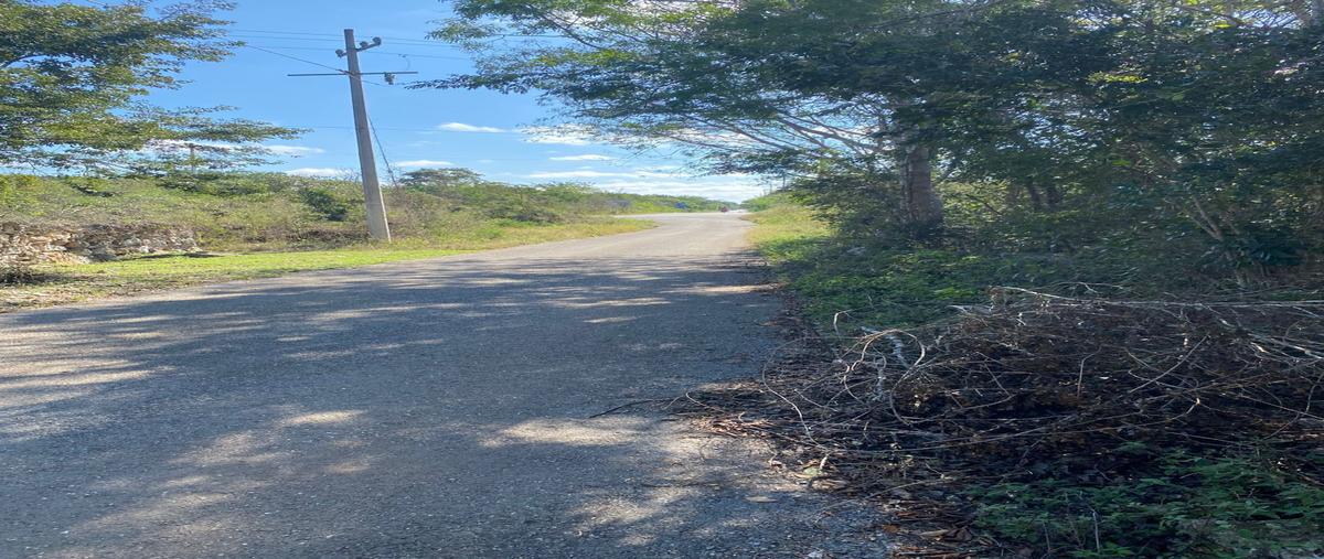 Foto de terreno habitacional en renta en  , molas, mérida, yucatán, 29233424 No. 05