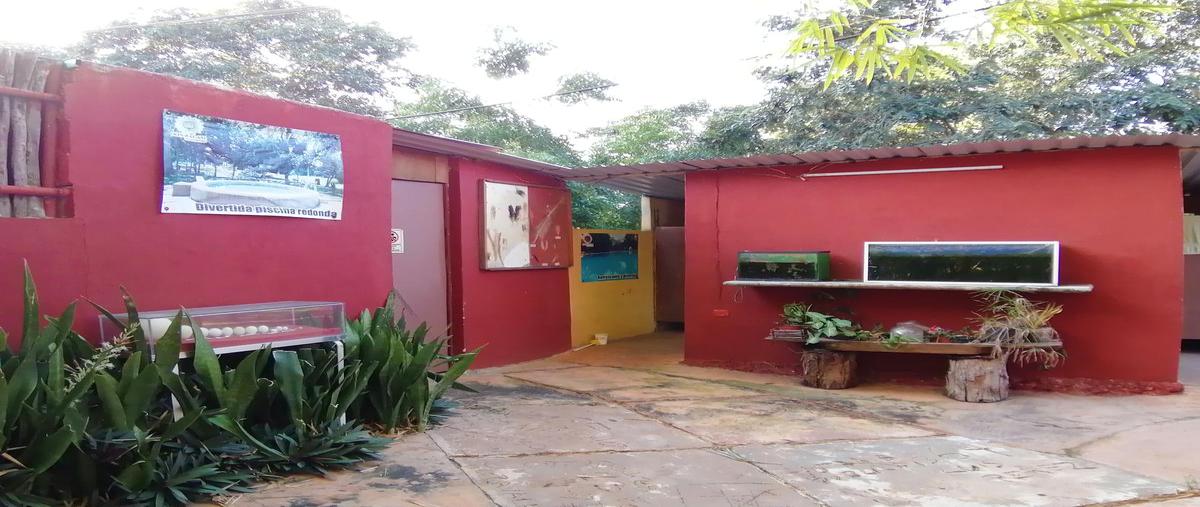 Foto de terreno habitacional en venta en  , molas, mérida, yucatán, 30279281 No. 04