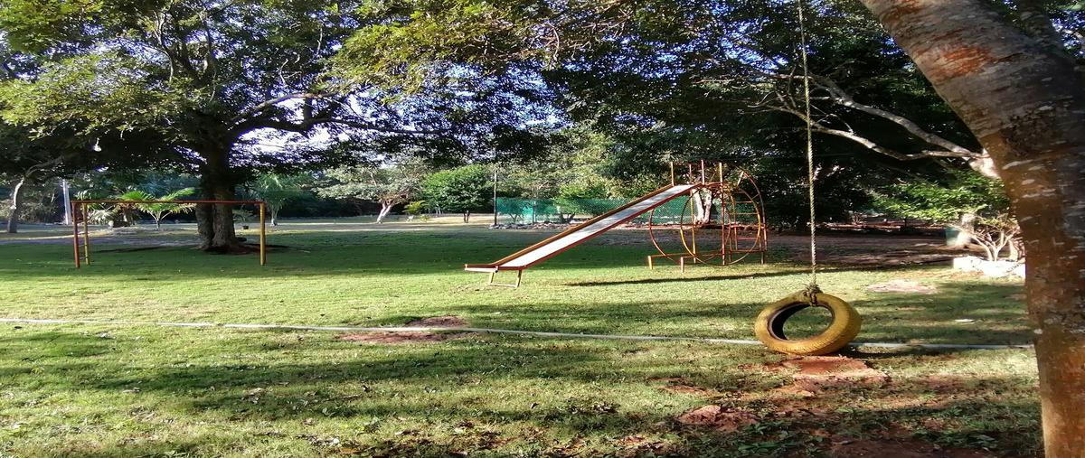 Foto de terreno habitacional en venta en  , molas, mérida, yucatán, 30478728 No. 03