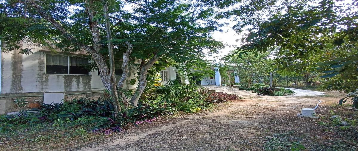 Foto de terreno habitacional en venta en  , molas, mérida, yucatán, 31426605 No. 02