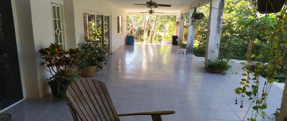 Foto de terreno habitacional en venta en  , molas, mérida, yucatán, 31426605 No. 05