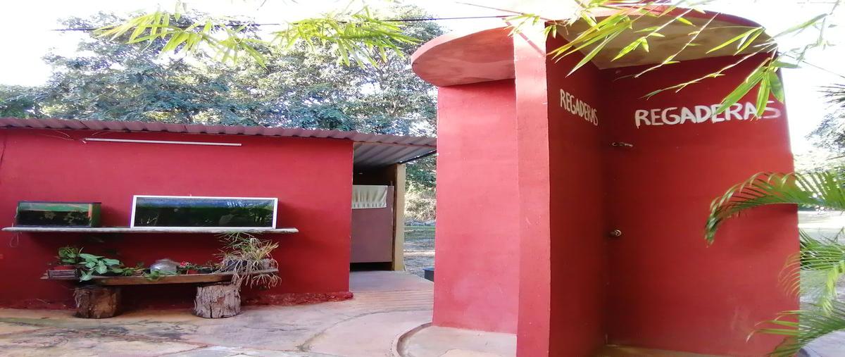 Foto de terreno habitacional en venta en  , molas, mérida, yucatán, 31426606 No. 05