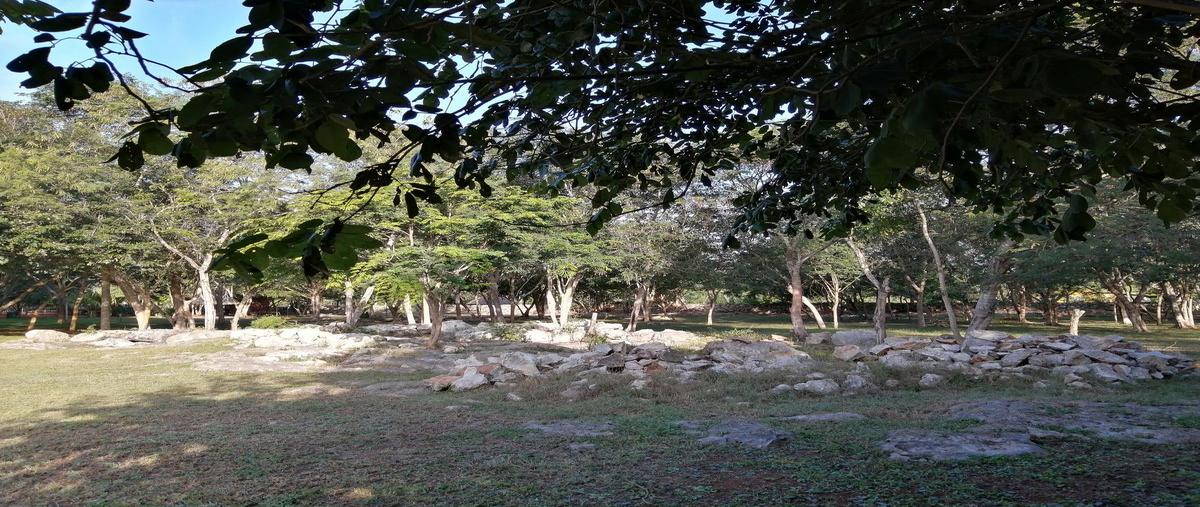 Foto de terreno habitacional en venta en  , molas, mérida, yucatán, 31426606 No. 10