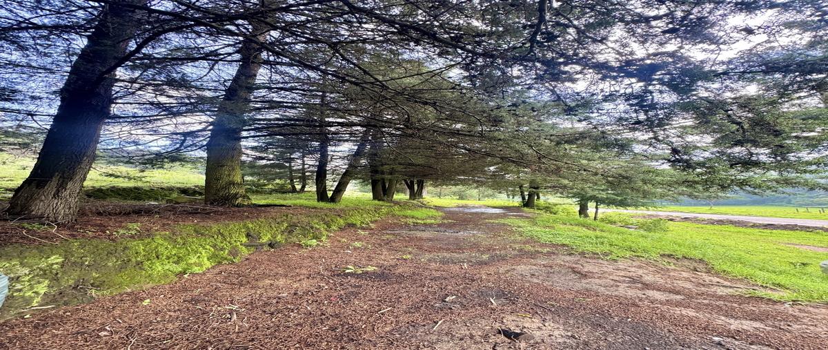 Foto de terreno habitacional en , molinitos, villa del carbón, méxico, 30060547 foto 04 Foto de terreno habitacional en venta en , molinitos, villa del carbón, méxico, 30060547 No. 04