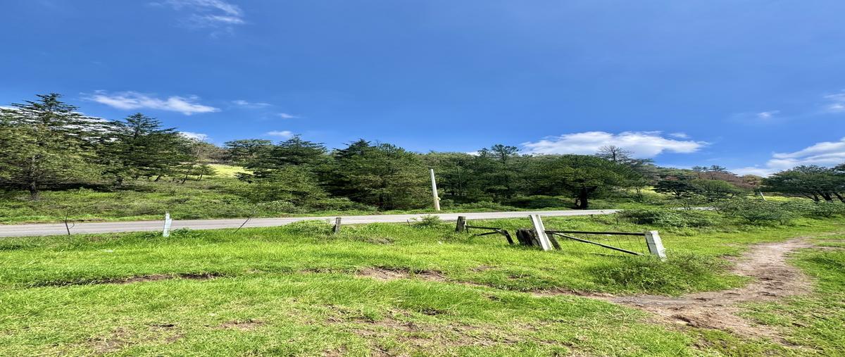 Foto de terreno habitacional en , molinitos, villa del carbón, méxico, 30060547 foto 05 Foto de terreno habitacional en venta en , molinitos, villa del carbón, méxico, 30060547 No. 05