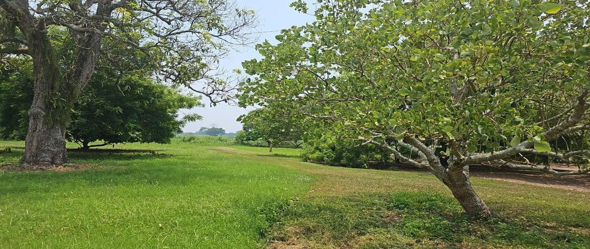 Foto de terreno habitacional en venta en molino de viento , frijolillo, tuxpan, veracruz de ignacio de la llave, 26653752 No. 01