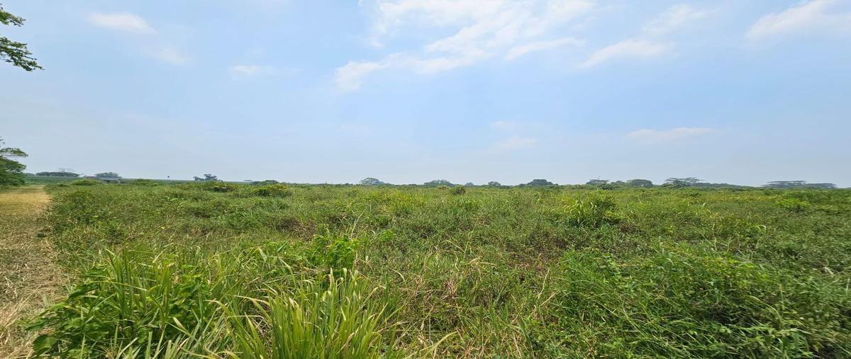 Foto de terreno habitacional en venta en molino de viento , frijolillo, tuxpan, veracruz de ignacio de la llave, 26653752 No. 03
