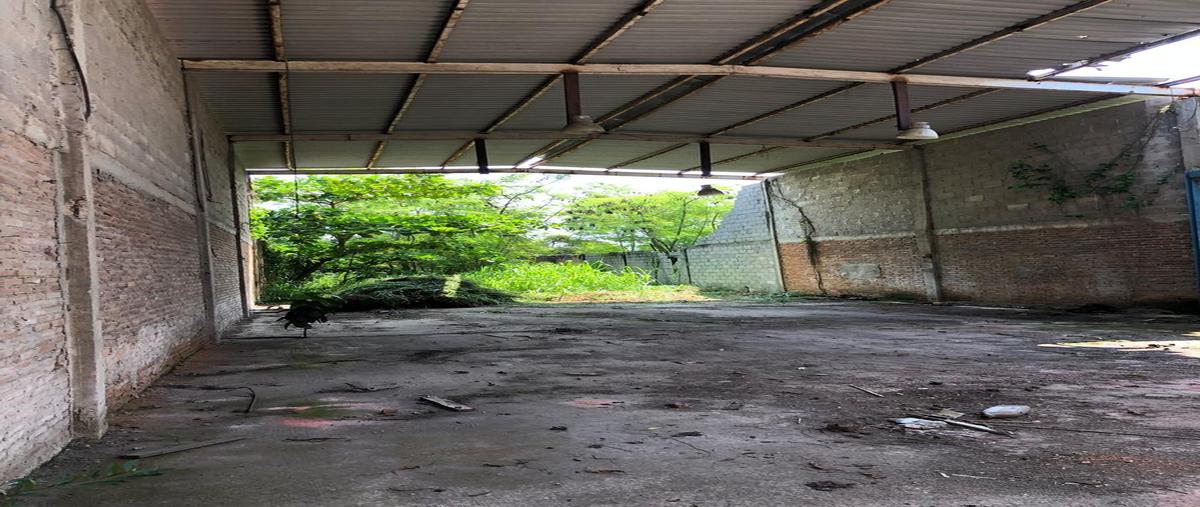 Foto de terreno habitacional en venta en  , monte alto, altamira, tamaulipas, 0 No. 03
