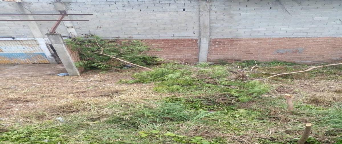 Foto de terreno habitacional en venta en  , monte alto, altamira, tamaulipas, 30124547 No. 04