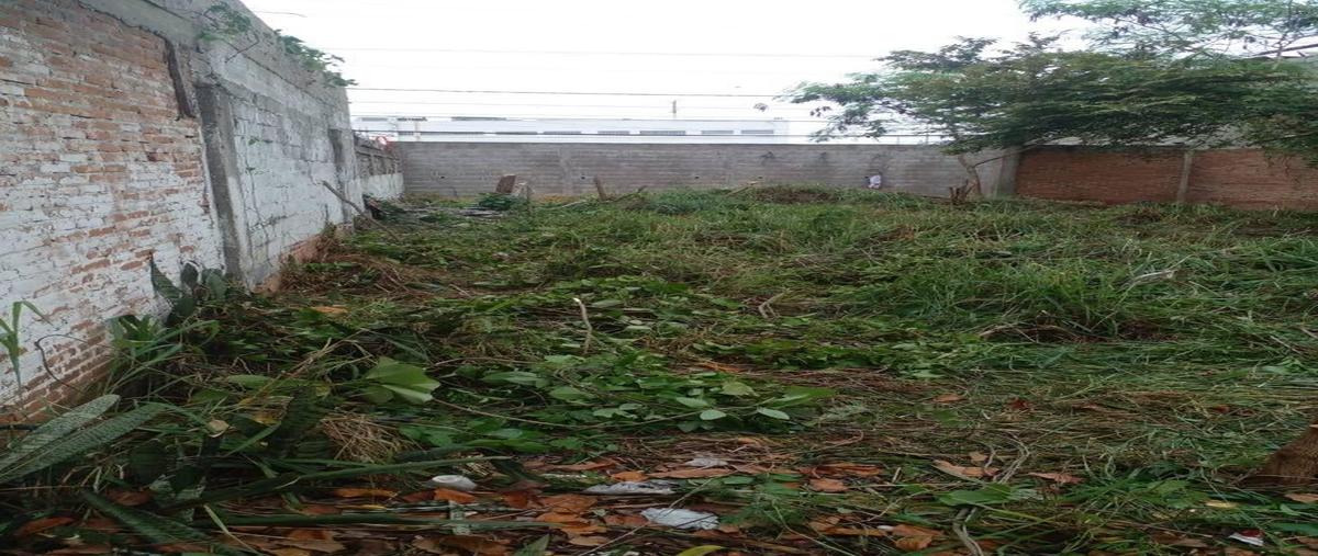 Foto de terreno habitacional en venta en  , monte alto, altamira, tamaulipas, 30124547 No. 05