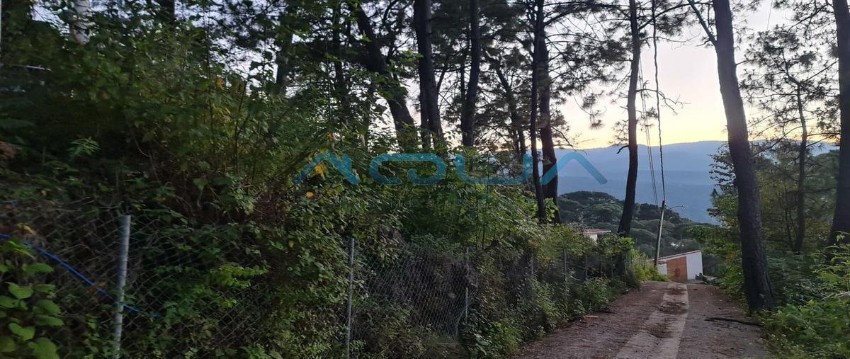 Foto de terreno habitacional en venta en monte alto , monte alto, valle de bravo, méxico, 25824479 No. 04