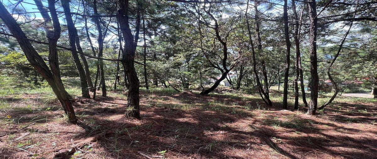 Foto de terreno habitacional en venta en monte alto , monte alto, valle de bravo, méxico, 28425377 No. 03