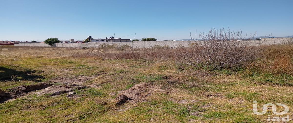 Foto de terreno comercial en venta en monte carlo , lindavista, zempoala, hidalgo, 30561498 No. 05
