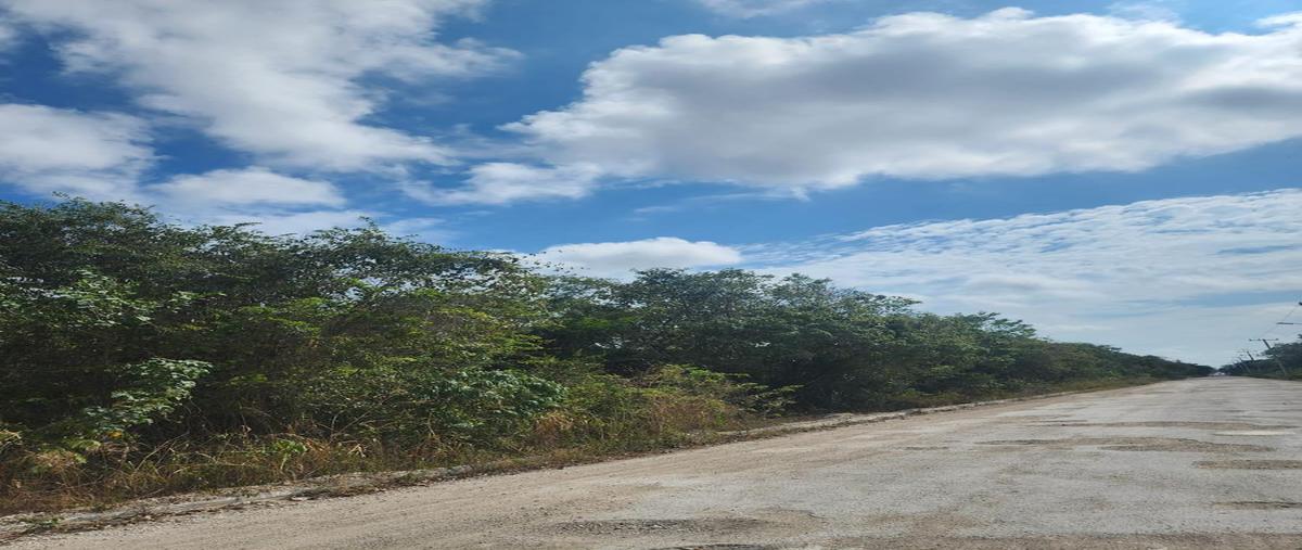 Foto de terreno habitacional en venta en  , monte de los olivos, benito juárez, quintana roo, 0 No. 01