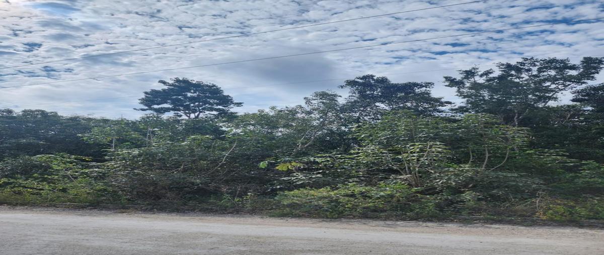 Foto de terreno habitacional en venta en  , monte de los olivos, benito juárez, quintana roo, 0 No. 05