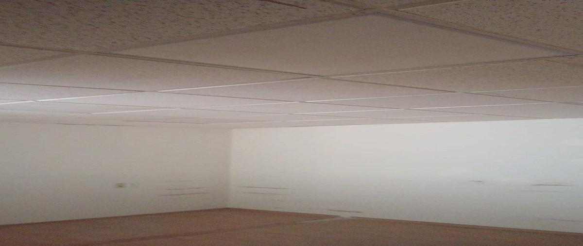 Foto de oficina en renta en monte elbruz , lomas de chapultepec i sección, miguel hidalgo, df / cdmx, 30145956 No. 04