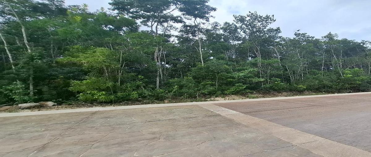 Foto de terreno habitacional en monte santa elena manzana 186, aqua residencial, benito juárez, quintana roo, 0 foto 04 Foto de terreno habitacional en venta en monte santa elena manzana 186, aqua residencial, benito juárez, quintana roo, 0 No. 04
