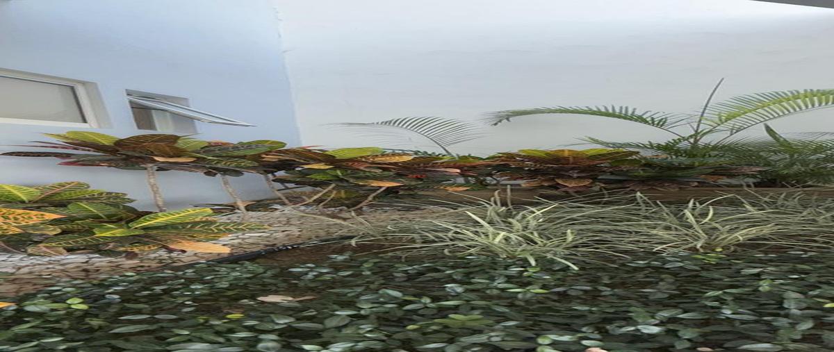 Foto de casa en venta en  , montealbán residencial, monterrey, nuevo león, 29058791 No. 05